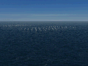 Gemini Offshore windpark.gif